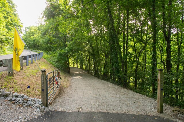6839 Pulltight Hill Rd, College Grove, TN 37046 - photo 14