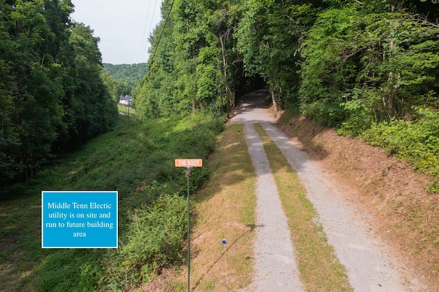 6839 Pulltight Hill Rd, College Grove, TN 37046 - photo 5