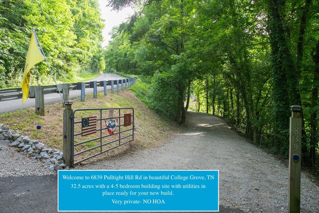 6839 Pulltight Hill Rd, College Grove, TN 37046 - photo 2