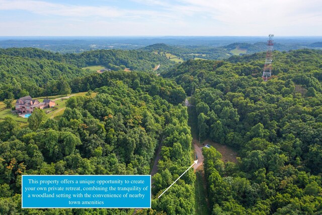 6839 Pulltight Hill Rd, College Grove, TN 37046 - photo 3