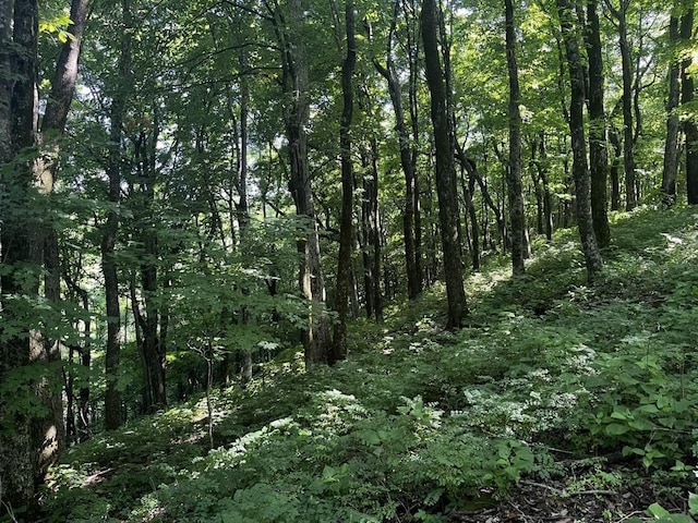 6839 Pulltight Hill Rd, College Grove, TN 37046 - photo 18