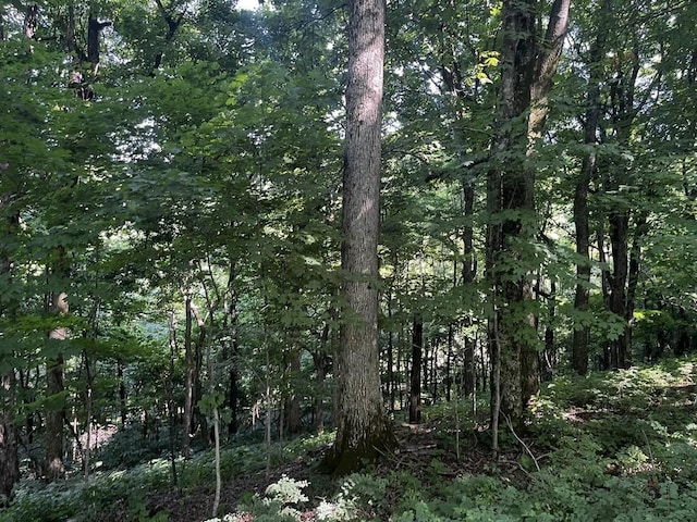 6839 Pulltight Hill Rd, College Grove, TN 37046 - photo 19