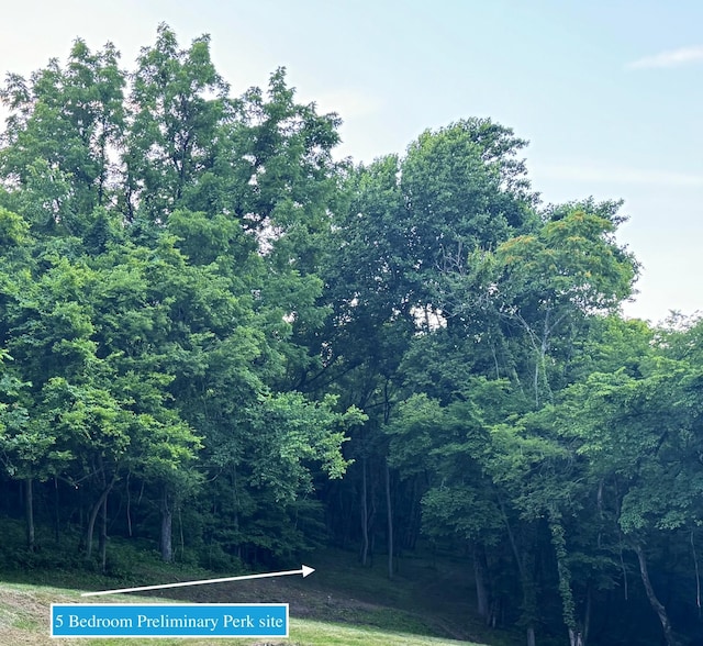 6839 Pulltight Hill Rd, College Grove, TN 37046 - photo 6