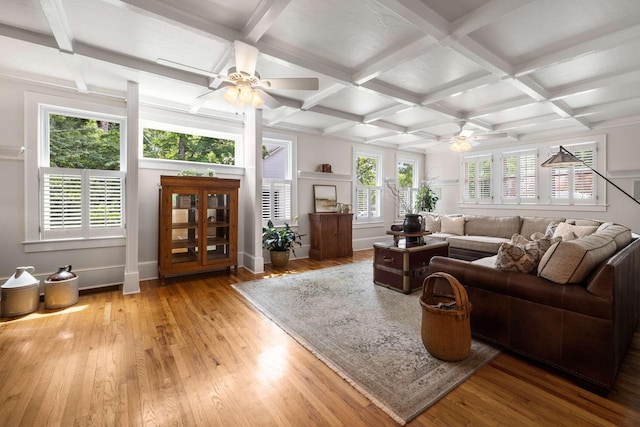 living room featuring coffered ceiling, a healthy amount of sunlight, ceiling fan, and light hardwood / wood-style floors