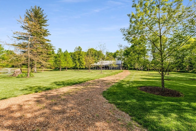 view of community featuring a yard