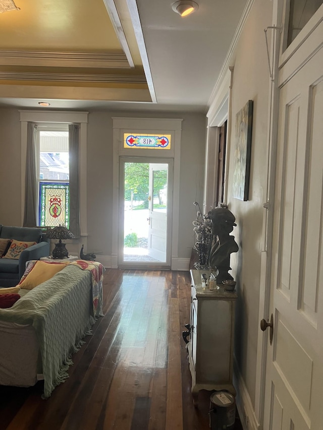 interior space featuring dark hardwood / wood-style flooring and crown molding