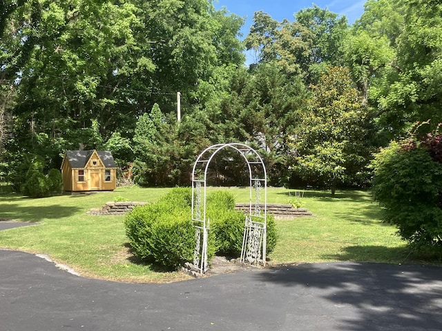 view of yard with a storage shed