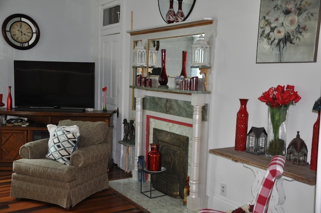 living room featuring a fireplace and wood finished floors