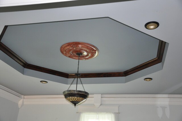 room details featuring a raised ceiling