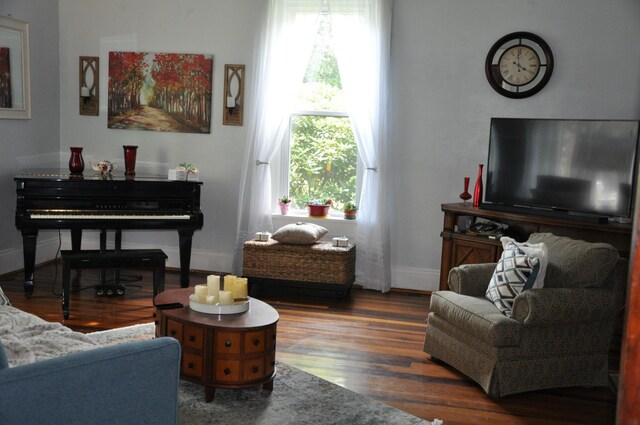 living room featuring dark wood-type flooring and a healthy amount of sunlight