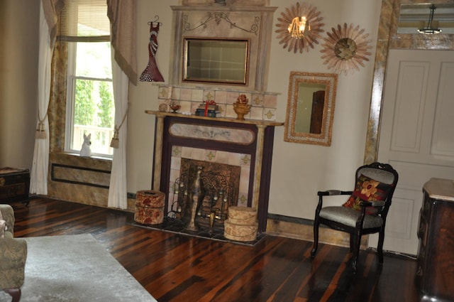 living room with dark wood-type flooring and a premium fireplace