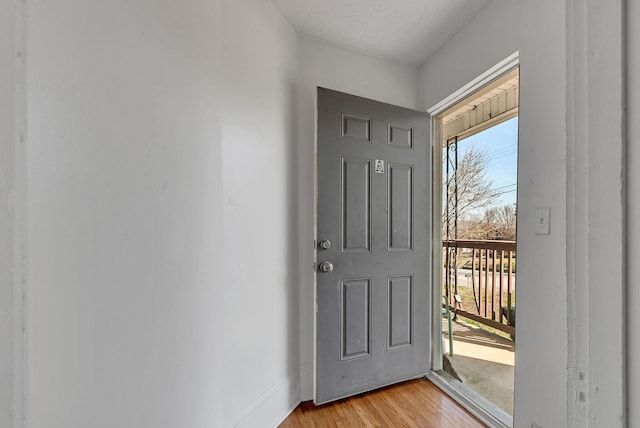 foyer entrance featuring light hardwood / wood-style flooring