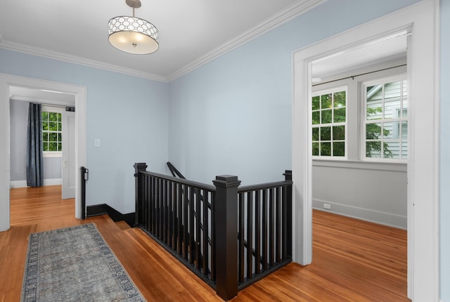 hall featuring crown molding and wood-type flooring