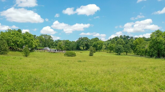 view of yard with a rural view