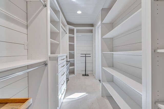 view of spacious closet