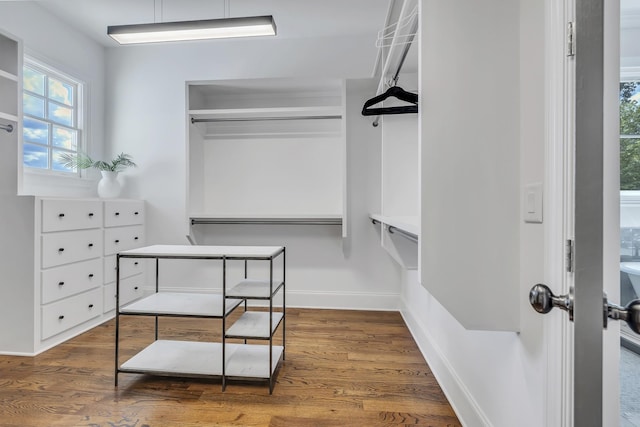 spacious closet featuring dark wood-type flooring