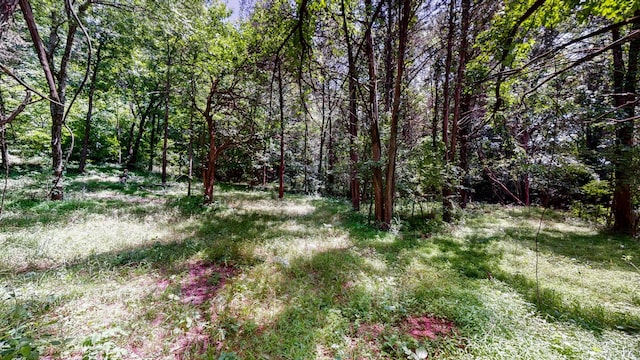 1040 Dobbins Pike, Gallatin, TN 37066 - photo 23