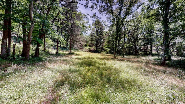 1040 Dobbins Pike, Gallatin, TN 37066 - photo 17