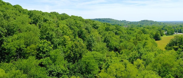 1040 Dobbins Pike, Gallatin, TN 37066 - photo 6