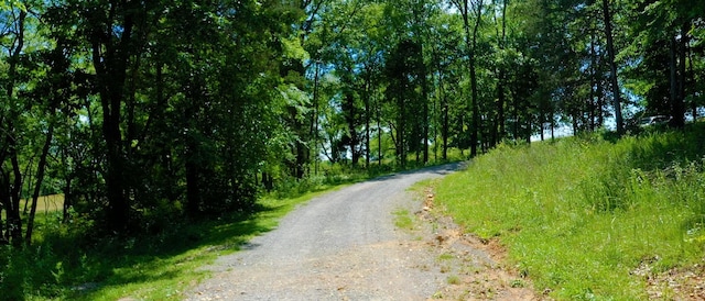 1040 Dobbins Pike, Gallatin, TN 37066 - photo 2