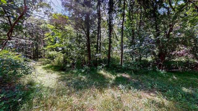 1040 Dobbins Pike, Gallatin, TN 37066 - photo 15