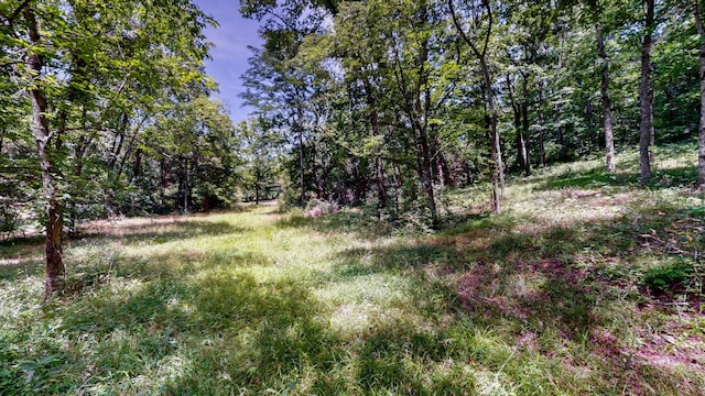 1040 Dobbins Pike, Gallatin, TN 37066 - photo 16