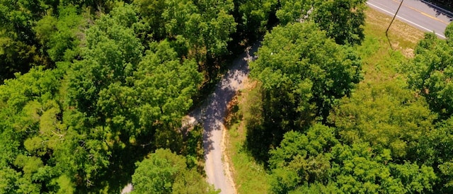 1040 Dobbins Pike, Gallatin, TN 37066 - photo 4
