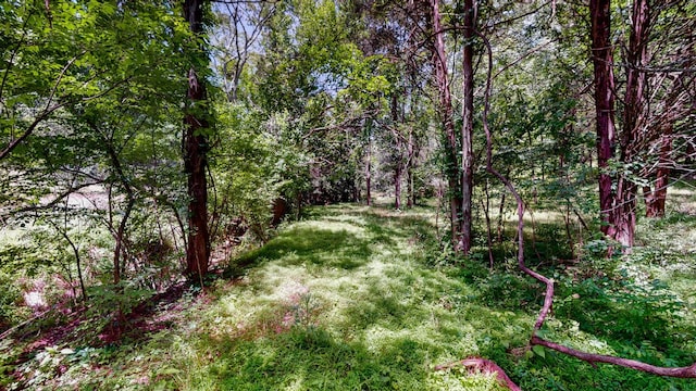 1040 Dobbins Pike, Gallatin, TN 37066 - photo 14