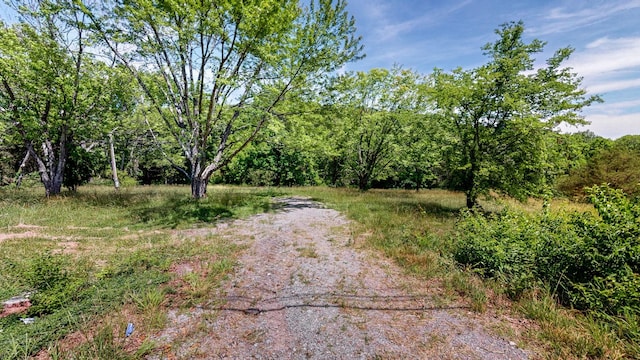 1040 Dobbins Pike, Gallatin, TN 37066 - photo 12