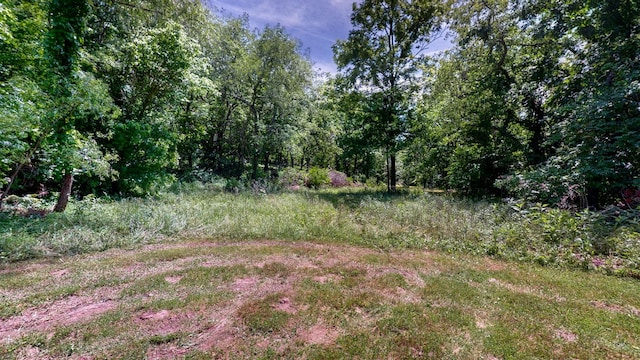 1040 Dobbins Pike, Gallatin, TN 37066 - photo 19