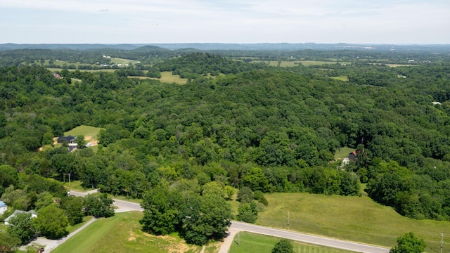 1040 Dobbins Pike, Gallatin, TN 37066 - photo 10