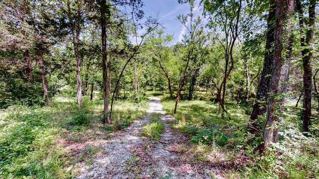 1040 Dobbins Pike, Gallatin, TN 37066 - photo 13