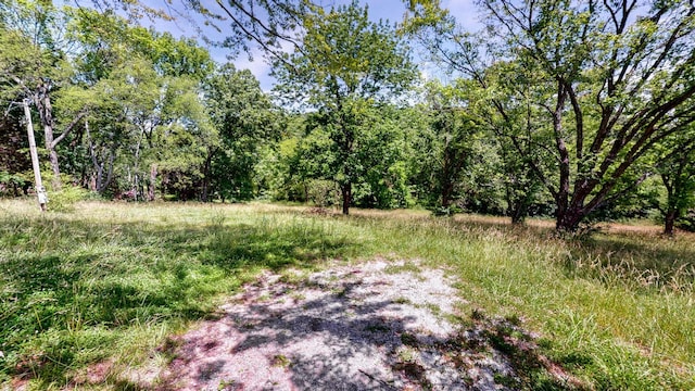 1040 Dobbins Pike, Gallatin, TN 37066 - photo 3
