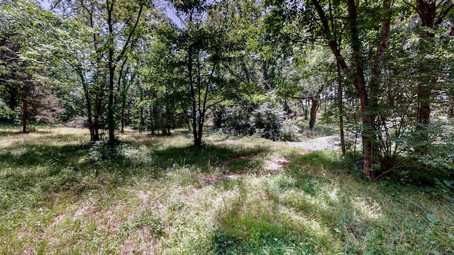 1040 Dobbins Pike, Gallatin, TN 37066 - photo 18