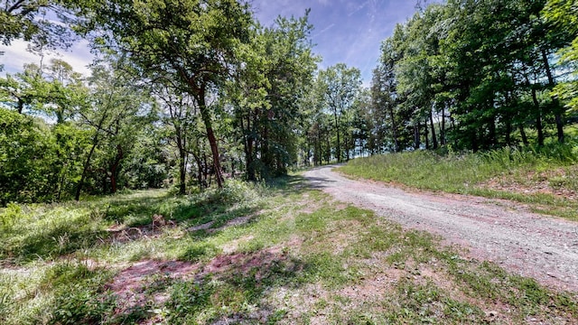 1040 Dobbins Pike, Gallatin, TN 37066 - photo 24