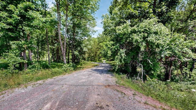 1040 Dobbins Pike, Gallatin, TN 37066 - photo 22
