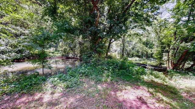1040 Dobbins Pike, Gallatin, TN 37066 - photo 20