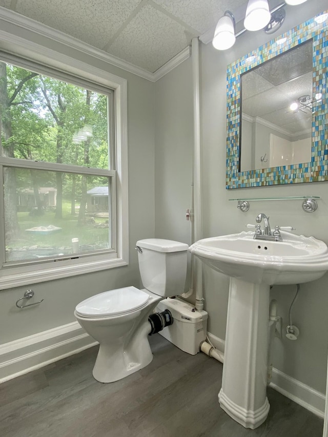 bathroom with hardwood / wood-style floors, toilet, and crown molding