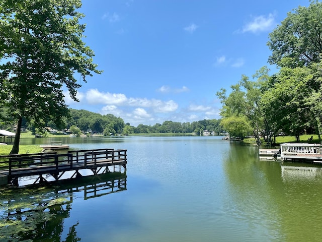 dock area with a water view