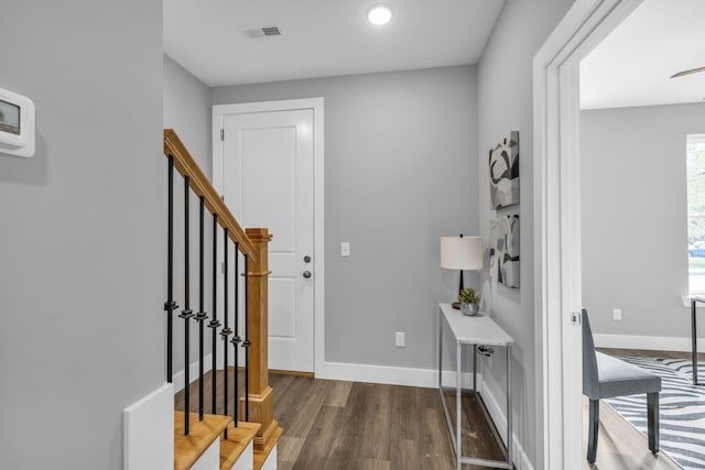 foyer entrance featuring dark hardwood / wood-style flooring