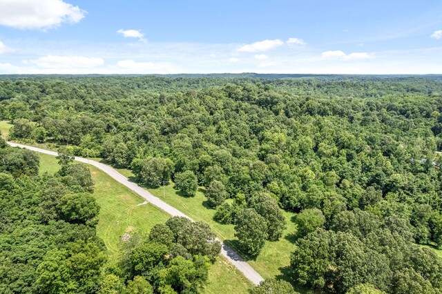 16 Creekmore Ln, Bumpus Mills, TN 37028