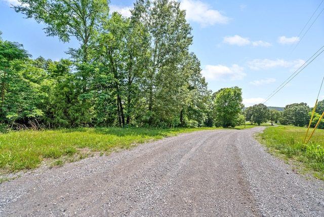 16 Creekmore Ln, Bumpus Mills, TN 37028