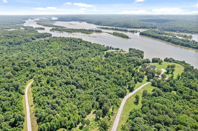 16 Creekmore Ln, Bumpus Mills, TN 37028