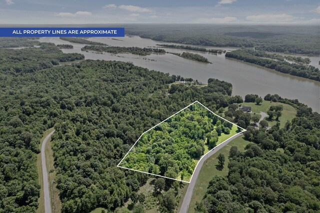 16 Creekmore Ln, Bumpus Mills, TN 37028