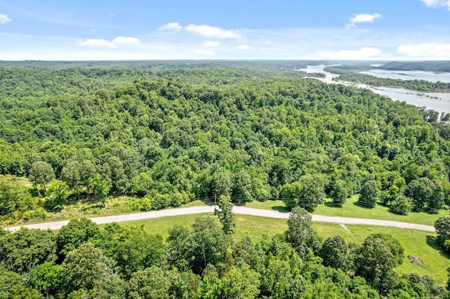16 Creekmore Ln, Bumpus Mills, TN 37028