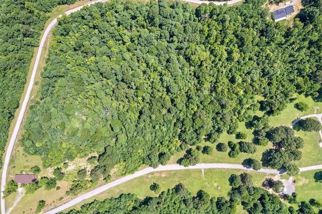 16 Creekmore Ln, Bumpus Mills, TN 37028