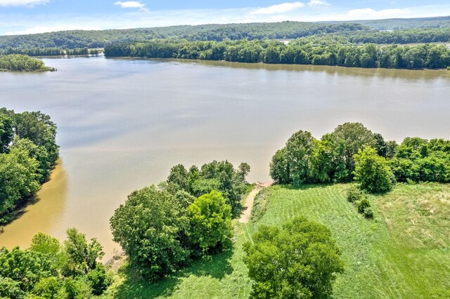 16 Creekmore Ln, Bumpus Mills, TN 37028