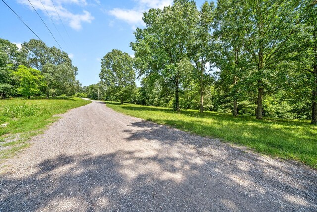 16 Creekmore Ln, Bumpus Mills, TN 37028