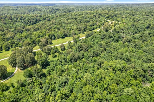 16 Creekmore Ln, Bumpus Mills, TN 37028