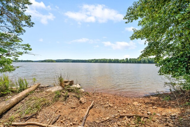 16 Creekmore Ln, Bumpus Mills, TN 37028
